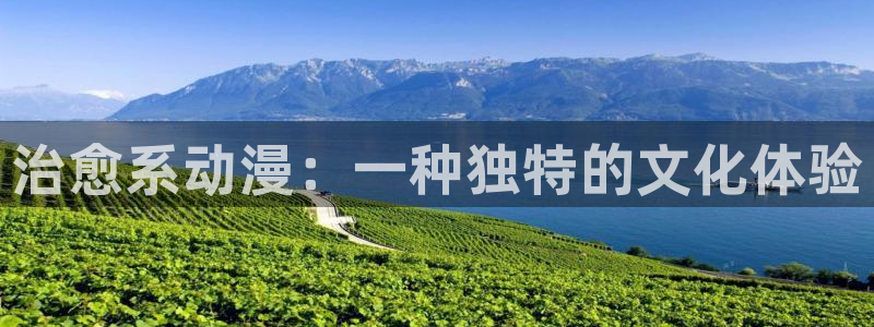omofun动漫下载最新：治愈系动漫：一种独特的文化体验