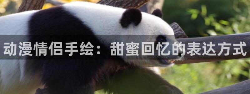omofun官网网址：动漫情侣手绘：甜蜜回忆的表达方式
