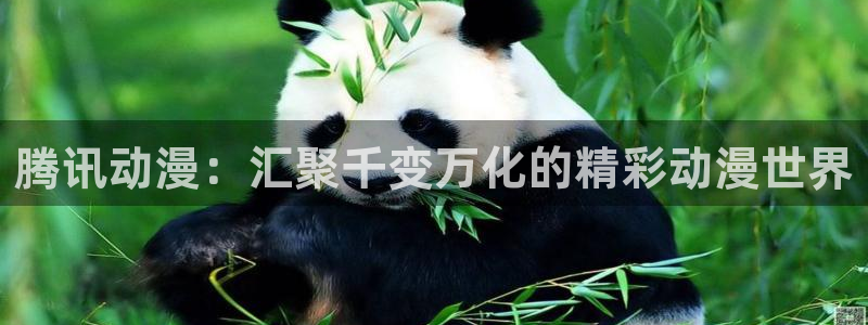 omofun旧版本：腾讯动漫：汇聚千变万化的精彩动漫世界
