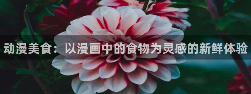 omofun动漫app下载最新版：动漫美食：以漫画中的食物为灵感的新鲜体验
