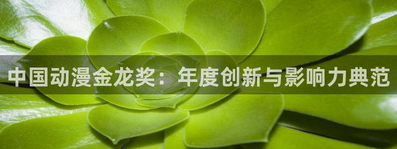 omofun. t：中国动漫金龙奖：年度创新与影响力典范