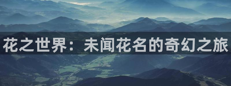 omofun动漫app：花之世界：未闻花名的奇幻之旅