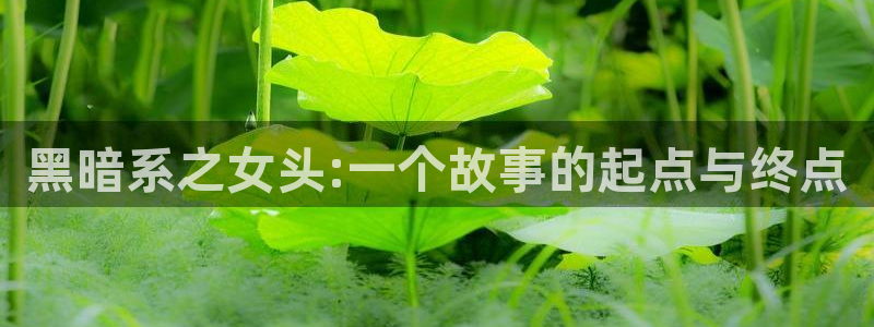 下载omofun