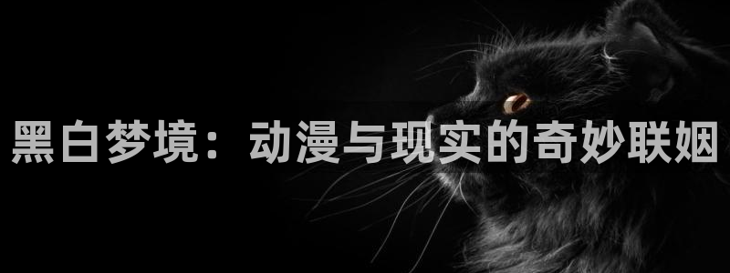进入omofun官网