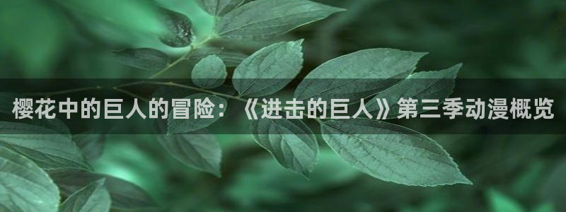 omofun网页版免费