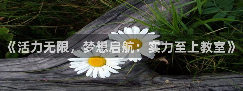 omofun官方网站app下载