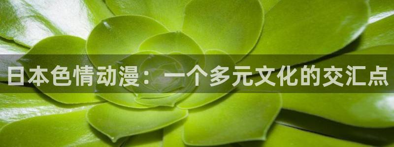omofun免费正版下载：日本色情动漫：一个多元文化的交汇点