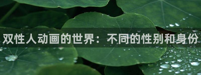 omofun传送门入口：双性人动画的世界：不同的性别和身份